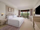 Deluxe King Room with Balcony