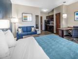 Accessible Queen Suite With Sofa Bed-Non Smoking