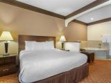 1 King Bed, Non-Smoking, Executive Room, Whirlpool, Microwave and Refrigerator, Wi-Fi