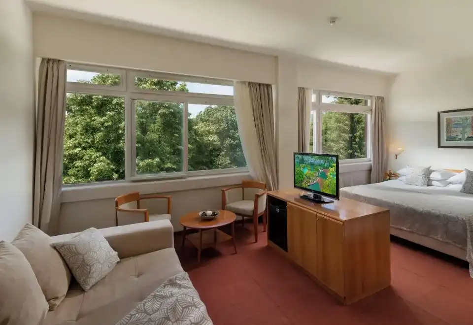 Premium Double Room-Park Side
