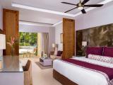 Deluxe Pool View King Room
