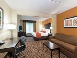 Deluxe King Suite-Non-Smoking