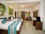Deluxe Double or Twin Room with Garden View