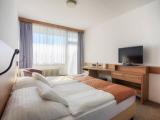 Standard Room (wing Grand)