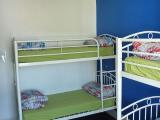 Bed In 6-Bed Mixed Dormitory