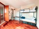 Bed In 4 Beds Mixed Dormitory Room (Mixed Gender)