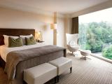 Deluxe Room (1 King Bed 1 Single Bed)