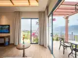 Premium Deluxe Twin Room