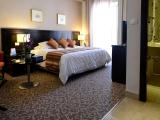 Executive Double Room, 1 King Bed