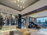 Executive Single Suite