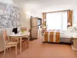 Standard Junior Suite