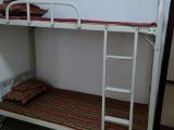 Cozy Double Room