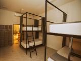Bed In 12-Bed Mixed Dormitory