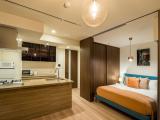Premier One-Bedroom Apartment