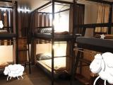Bunk Bed In Female Dormitory Room