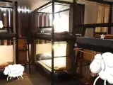 Bunk Bed In Female Dormitory Room