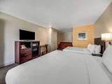 Efficiency King Suite with King Bed Queen Bed and Sofa Bed - Non Smoking