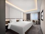 Light Luxury Super Large Room