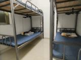 Bed in 4-person Room (Males only)