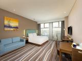 1 King Suite