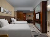 Elite Business Room (2 Beds)