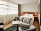 Executive Guest Room