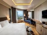Premier King Room