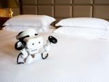 Deluxe Room (Double Bed)