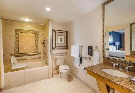 1 Bedroom 1 King Deluxe Suite Roll in Shower