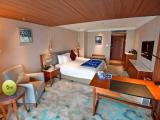 Themed Superior Room (Double Bed)