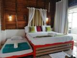Chiang Rai & Chiang Mai
