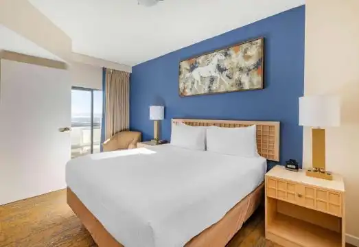 One-Bedroom Deluxe Suite With 1 King Bed-Hearing Accessible And Roll In Shower