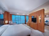 Panorama Premier Suite (Double Bed) (French Window, Bathtub)