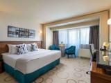 Executive Suite With 1 King-Size Bed