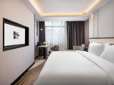 Light Luxury Queen Room