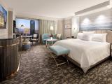Strip View Spa King