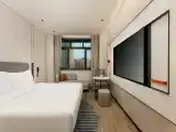 1 King Standard Accessible