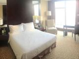 Special Queen Room