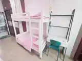 Bed In Guestroom - Single Occupancy (Living Room, Sofa)