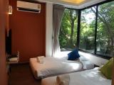 Garden View Room