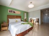 Deluxe Executive Studio Apartment (Double Bed)
