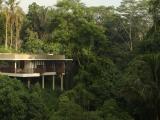 Forest Edge Villa