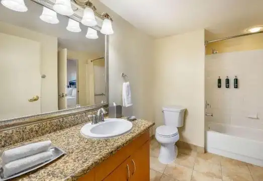 One-Bedroom King Suite with Roll-in Shower