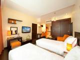 Deluxe Studio King Apartment