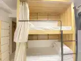 Elegant Room (Females Only, Room Rate Calculated Per Person)