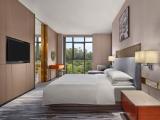 Executive Mountain Suite