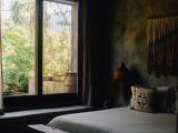 Premier Jungle Suite