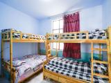 Bed in Dorm with view