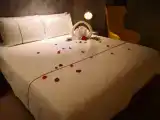 Magnolia Theme Room