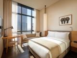 Premier Deluxe Double Room With City View
